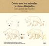 CÓMO SON LOS ANIMALES Y CÓMO DIBUJARLOS CON LÁPICES DE COLORES